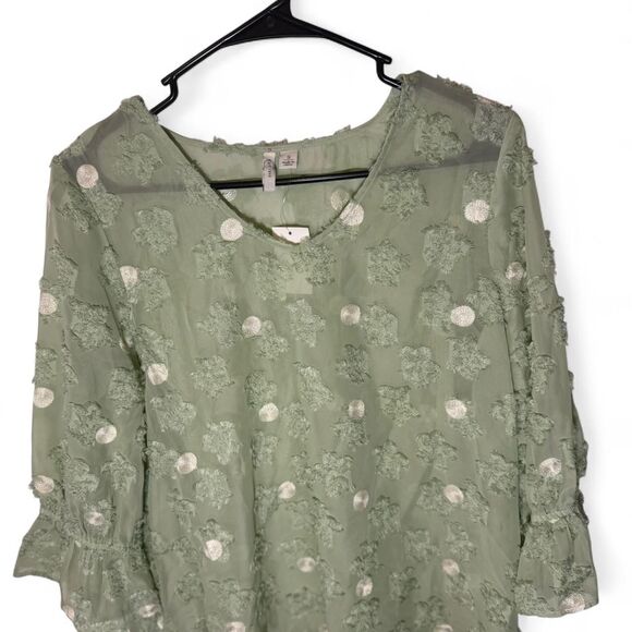 C Est 1946 Small Green Polka Dot Sheer Blouse NWT Preppy - Picture 2 of 7
